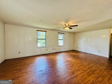 391 S Brown Ave, Sycamore, GA 31790 - photo 4