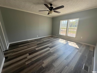 413 Walnut St, Zeigler, IL 62999 - photo 6