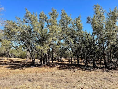 View of local wilderness