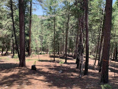 7 Timber Wolf unit 6 &24, Mayhill, NM 88339 - photo 5