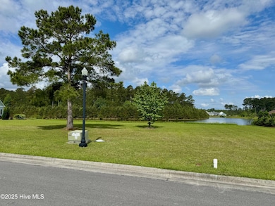 4042 Reunion Pointe Ln, New Bern, NC 28562 - photo 6