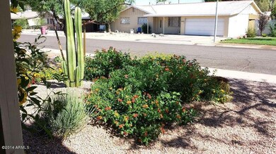 6 - Landscaping