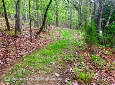 trail