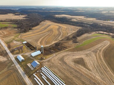 DJI_20250318175833_0223_D