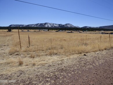 34 CR 2100 Alpine (3)