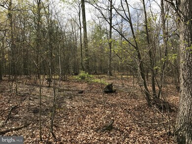 0 Roys Ln unit 1000194671, Glengary, WV 25421 - photo 7