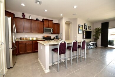 1173 W Popcorn Tree Ave, San Tan Valley, AZ 85140 - photo 5