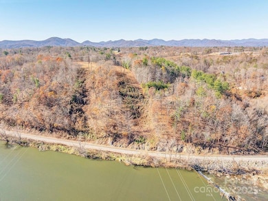 155 Flynn Branch Rd, Asheville, NC 28804 - photo 6