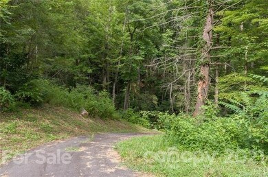 Paved drive leading down to the creek and potentia