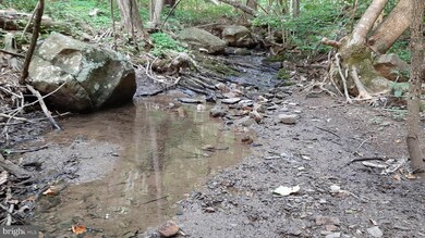 0 Brush Leaf Ln unit VASH121548, Mount Jackson, VA 22842 - photo 4