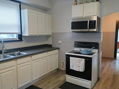 315 Spring St, Big Rapids, MI 49307 - photo 6