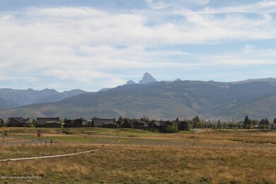 Lot View