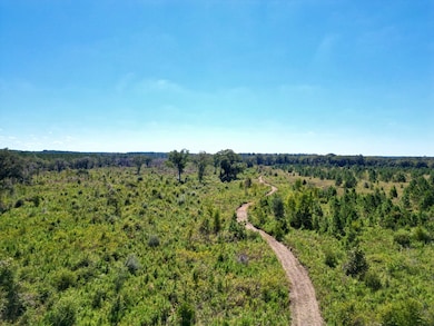 0 Cal Thomas Rd, Whigham, GA 39897 - photo 4