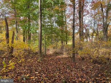 0 W Forge Rd, Glen Mills, PA 19342 - photo 6