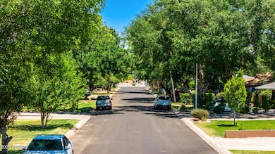 View of Palo Verde Drive