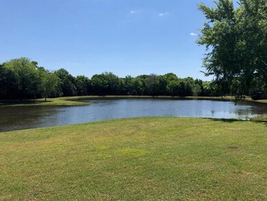 Large pond view from house looking towards road