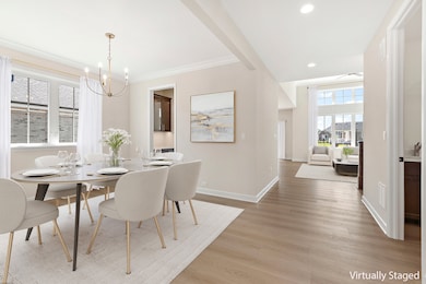 12193 Curragh Meadow Way, Lemont, IL 60439 - photo 3