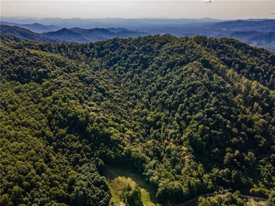 99999 Indian Creek Rd, Price Creek, NC 28714 - photo 7