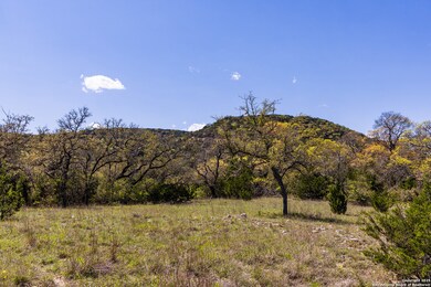 0 unit 1890104, Medina, TX 78055 - photo 3