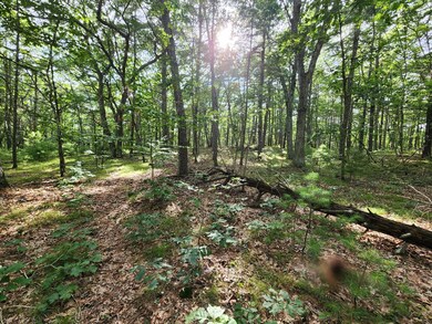 31 Rumsey Rd, York, ME 03909 - photo 5