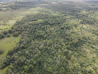 0 VL Binder Rd, Sherman Township, MI 48748 - photo 7