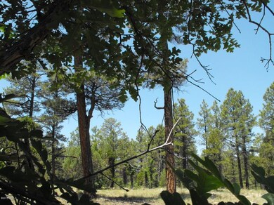 4 551 Hopi