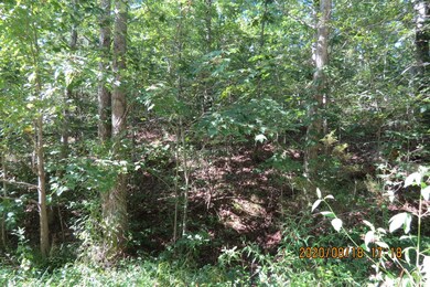 0 Hurricane Loop, Tennessee Ridge, TN 37178 - photo 5