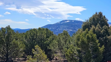 4402 Bear Creek Cir, South Fork, CO 81154 - photo 4