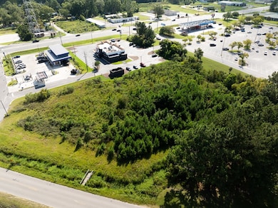 00000 Golden Isle W, Baxley, GA 31513 - photo 4