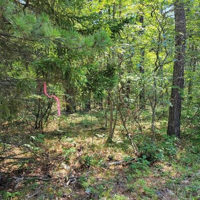 0 York Ln unit 25 4873957, Freedom, NH 03836 - photo 2