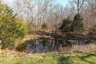 12885 State Route W, Rolla, MO 65401 - photo 6