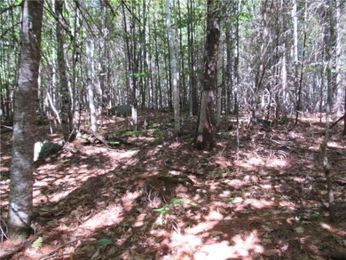 0 M16 L20 unit 1371774, Bowerbank, ME 04426 - photo 5