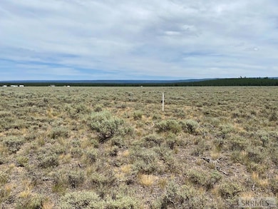 4335 Pine Grouse Rd, Island Park, ID 83429 - photo 4