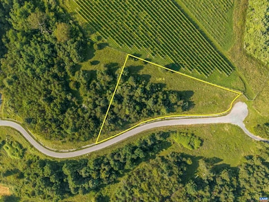 Lot 4 Twelve Ridges Way, Vesuvius, VA 24483 - photo 2