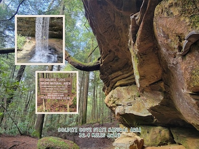 215 E Bobcat Ln E, Wilder, TN 38589 - photo 6