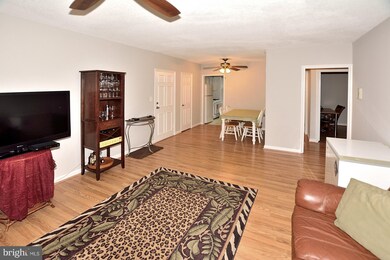 234 N Thomas St unit 4, Arlington, VA 22203 - photo 6