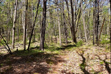 5 Primrose Ln, Cape Neddick, ME 03902 - photo 7