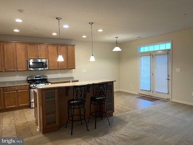 908 Hall Station Dr unit 204, Bowie, MD 20721 - photo 7