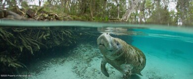 SH Manatee