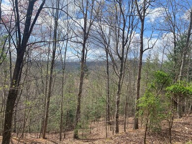 Lot 62 Jitterbug Ln, Murphy, NC 28906 - photo 4