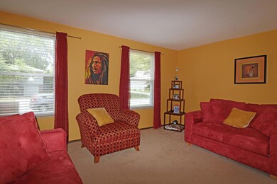 IMG_3529_edited-1