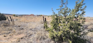 tbd E 2nd St unit 15, Concho, AZ 85924 - photo 4