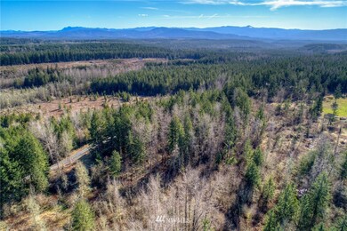 unlisted-address, Roy, WA 98580 - photo 6