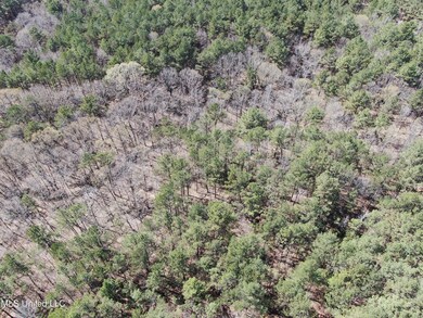 DJI_0510