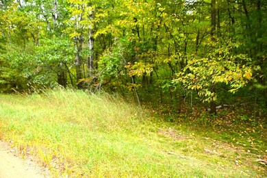 Lot 27 Block 7 Oak Dr, Moran Township, MN 56438 - photo 3