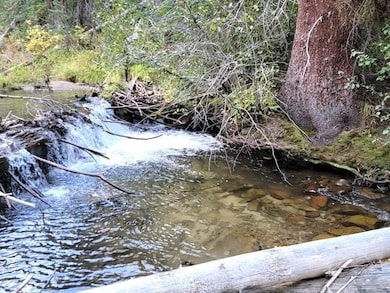 Financing Miningclaim Ownership, Idaho City, ID 83631 - photo 4