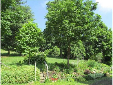 Yard/Garden.