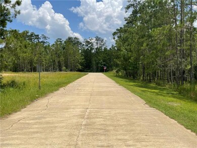 Looking north from the front of the lot.