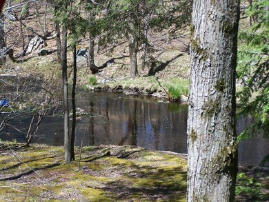 135 Lake Shore Dr, Pocono Lake, PA 18347 - photo 4