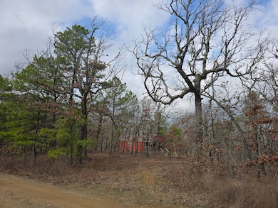 0000 SE 180th Rd, Talihina, OK 74571 - photo 2